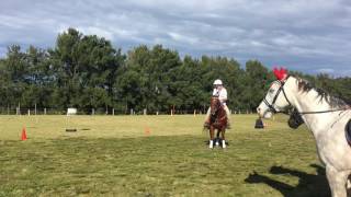 Buster and Kyra Helensburgh Sporting day