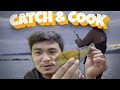 Catch and cook pt 1