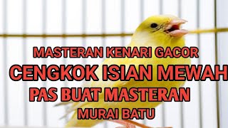 MASTERAN KENARI GACOR, Cengkok isian Mewah. Pas Buat Masteran Murai Batu.