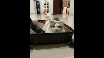 PROTECTION AND SECURITY METHODS  IN OPERATING SYSTEM