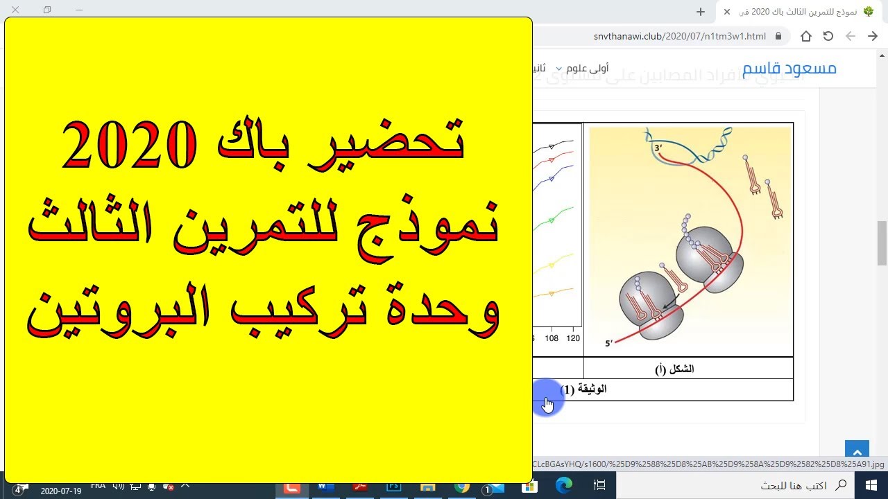 تمارين نموذجية باك 2020 (وحدة تركيب البروتين - التمرين الثالث)