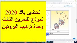 تمارين نموذجية باك 2020 (وحدة تركيب البروتين - التمرين الثالث)