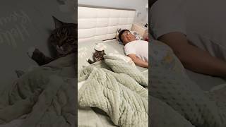 Cat living the VIP life!