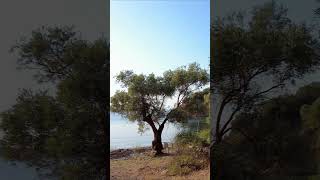 Η κρυμμένη Παραλία, στο νησάκι στο Νότιο Πήλιο. Τρίκερι, Παραλία Πράσινη Άμμος - Ελλάδα -  Μαγνησία