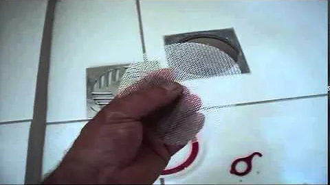 Porque os escorpiões entram nas casas?