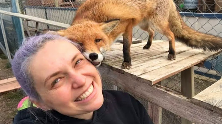 Animals Teach us Love is The Key to Happiness! ❤️