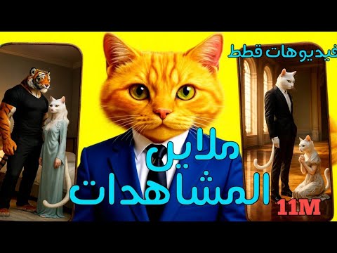 سر صناعة فيديوهات ترند القطط بالذكاء الاصطناعي مجانا وبلا حدود