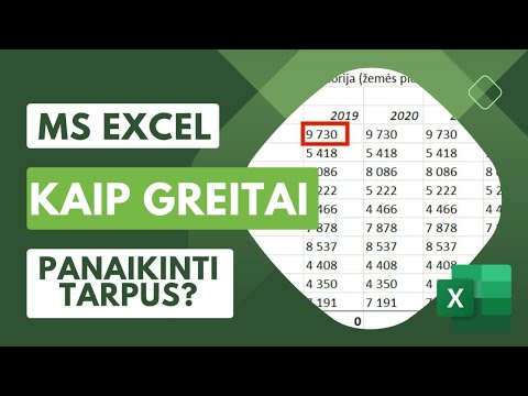 Video: Kaip galime naudoti „Excel“?