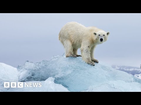 Climate change: The place on Earth heating fastest – BBC News