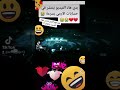 جين وهو يصرخ بكلمه ارمي