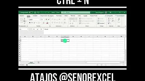 ¿Qué es Ctrl N en Excel?