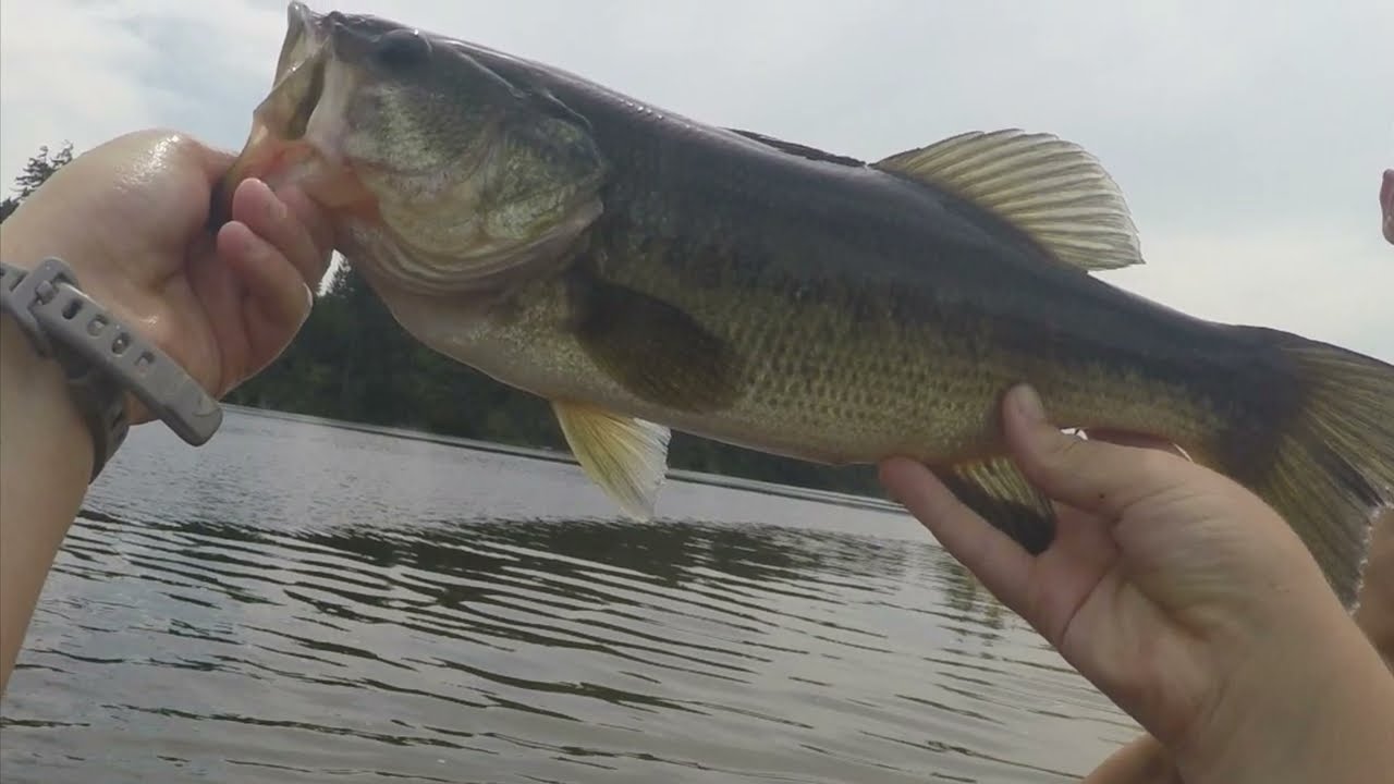 Fishing for big bass on sand