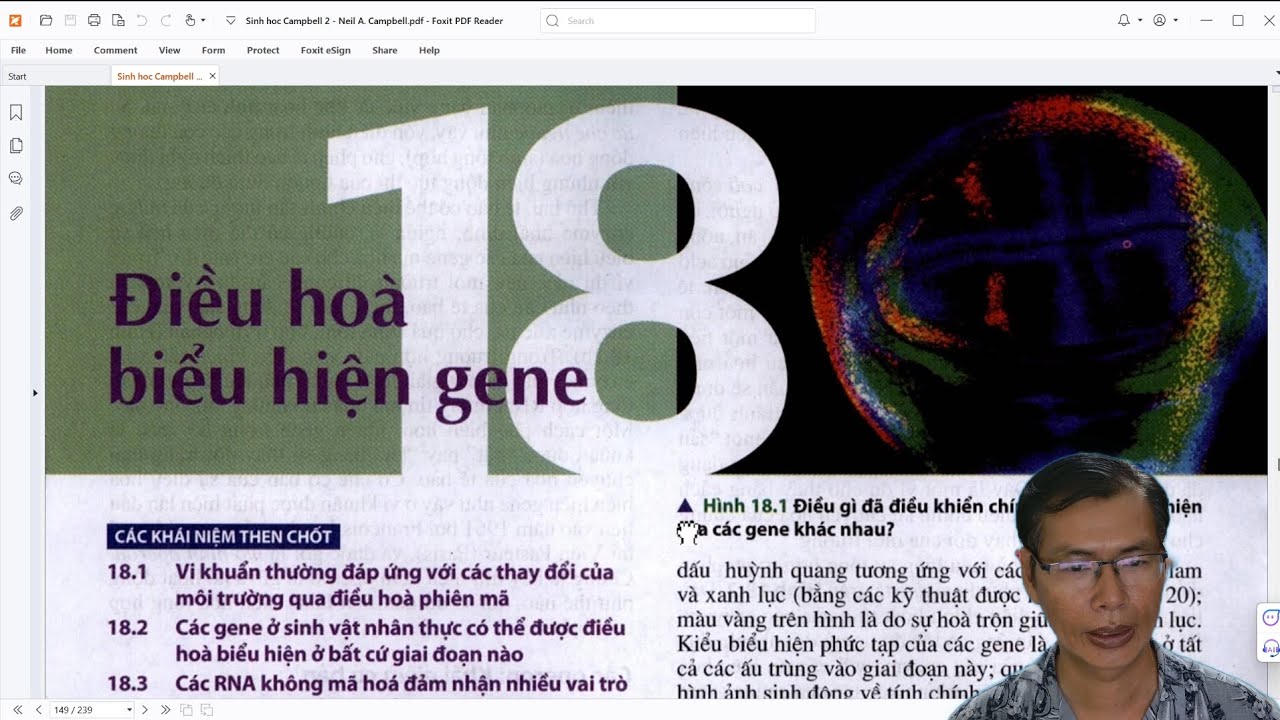 Campbell - Chương 18 Điều hòa biểu hiện gene