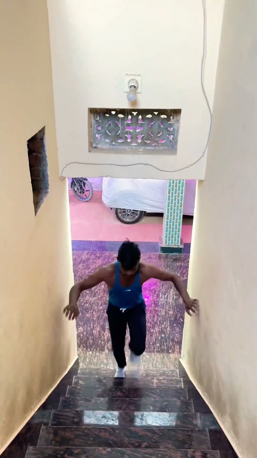 Tiger kaha gaya ?? #shortvideo #funny