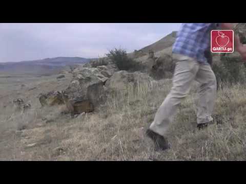 კასპში ,,არსენას გამოქვაბულის\" შესასწავლას ითხოვენ