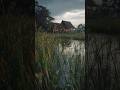 Rain and Thunder for Relaxing #rain #thunder #relaxing #shorts