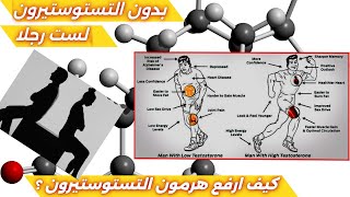 بدون التستوستيرون لست رجلا هرمون الذكورة عند الرجال مع الدكتور محمد الفائد