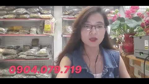 Cà gai leo có điều trị men gan cao ko?