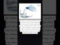 إن الماء من أعظم النعم التي أنعم الله على مخلوقاته اكسبلور_explore معلومات_عامة لايك_اشتراك mp3