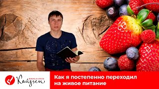 Как я постепенно переходил на живое питание Как я постепенно переходил на живое питание