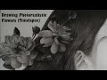 Drawing photorealistic flowers using charcoal  part 2