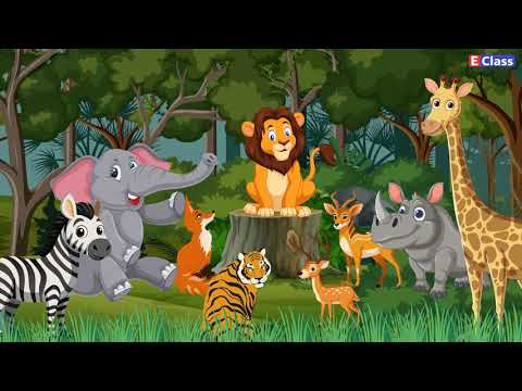 Standard 1 Maths Ch 29 गण त य क ड Marathi Medium Maharashtra Board Syllabus 2025 