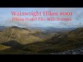 Scafell Pike Hike with Bronson 🤪 Wainwright Hike #001