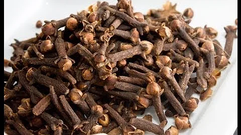 Cosa simboleggia il garofano?