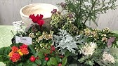 チェッカーベリーの寄せ植え Youtube