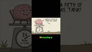 Why your brain is a calorie-hungry monster.