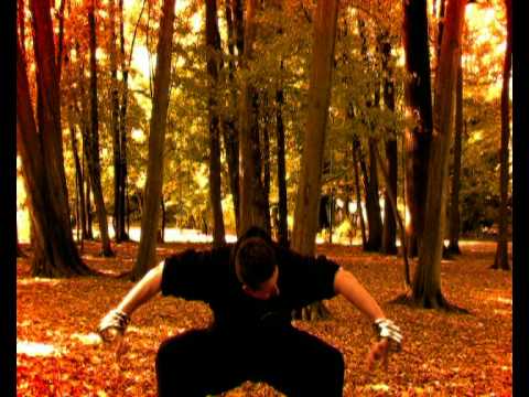 kung fu (hung gar, wing chun) tai chi chuan : eric...