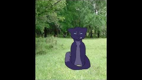 Bluestar MAP Part 12