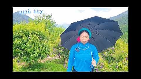 Hẹn em mùa vàng lên Đại Dực soóng Cọ