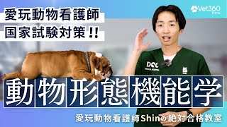 【Vet360 Prime】愛玩動物看護師Shinの絶対合格教室：#3 動物形態機能学