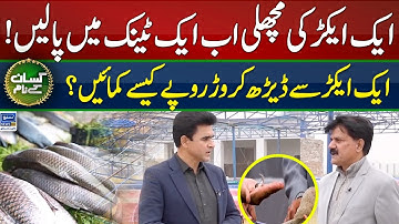 One acre fish in one tank | Biofloc fish farming | Modern fish farming | Kissan Kay Naam | EP 49