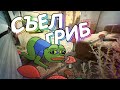 CS:GO / Съел гриб