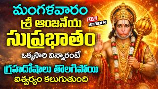 LIVE : మంగళవారం రోజు ఆంజనేయ సుప్రభాతం వింటే గ్రహదోషాలు తొలగిపోతాయి | Hanuman Suprabhatam