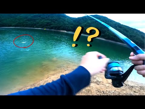 迷子の魚さん maxresdefault.jpg