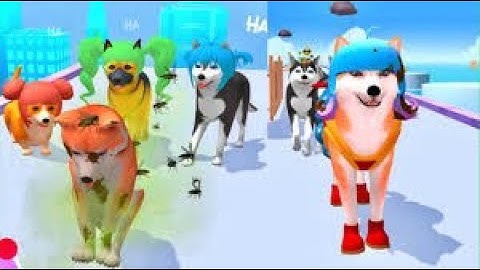 Groomer Run))NEW LEVELS!! LEVEL 1-5))Gameplay Android, ios