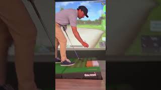 This Golf Simulator Is Insane 