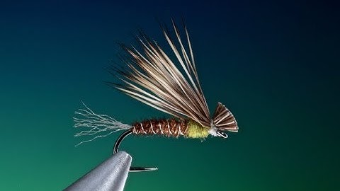 Fly Tying a Pheasant tail X-Caddis/Sedge with Barry Ord Clarke