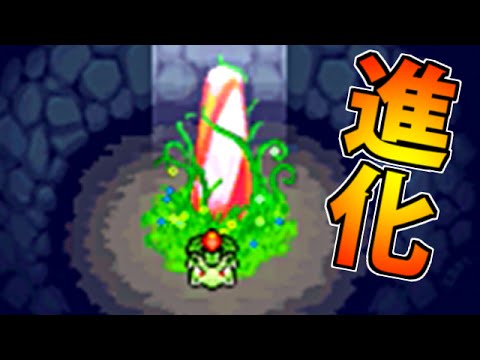 Ex3 ポケモンになっちゃった ポケモン不思議のダンジョン青の救助隊 実況 Youtube