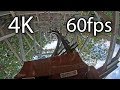 Outlaw run front seat onride 4k pov 60fps silver dollar city