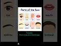 Parts of the face! Partes de la cara en inglés! #learnenglish #english