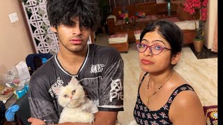Humari Choti Si Cat Paralyse Ho Gayi 😭 Ab Kya Hoga