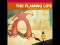 The flaming lips do you realize