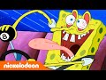 SpongeBob SquarePants | SpongeBob gagal ujian mengemudinya | Nickelodeon Bahasa