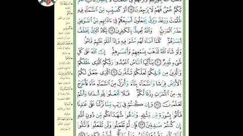 سورة البقرة ( الوجه ٤) ،من الآية ١٧- ٢٤ | الشيخ إبراهيم الأخضر ( تجويد )