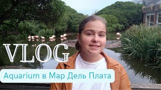 Самое ИНТЕРЕСНОЕ место в Мар Дель Плата! Океанариум Aquarium, что там внутри?