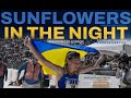 Capture de la vidéo Sunflowers In The Night (In Support Of #Ukraine) By Andres Useche / (Trailer/Mv Ver.)  Слава Україні